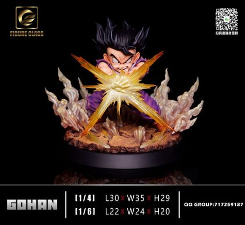 【Pre-order】Dragon Ball Z Son Gohan GK Resin Statue FIGURE CLASS Studio