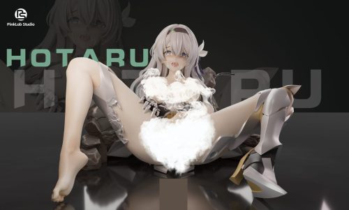 【Pre-order】Battle Damaged Version Firefly GK Resin Statue 1/6 Scale PinkLab Studio