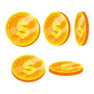The final payment or shipping fee