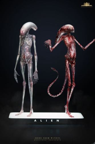 【Pre-order】Deep Tale Studio 1/1 Scale Alien Covenant Chestburster Resin