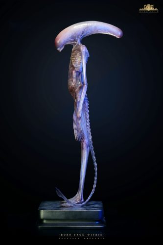 【Pre-order】Deep Tale Studio 1/1 Scale Alien Covenant Chestburster Resin