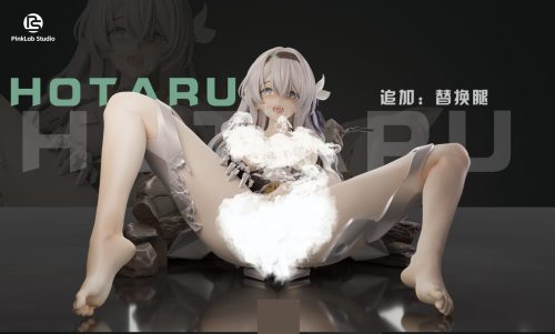 【Pre-order】Battle Damaged Version Firefly GK Resin Statue 1/6 Scale PinkLab Studio