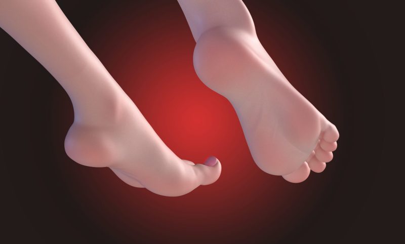 【Pre-order】Honkai Star Rail Elysia GK Resin Statue 1/6 Scale Arctic Wolf Studio