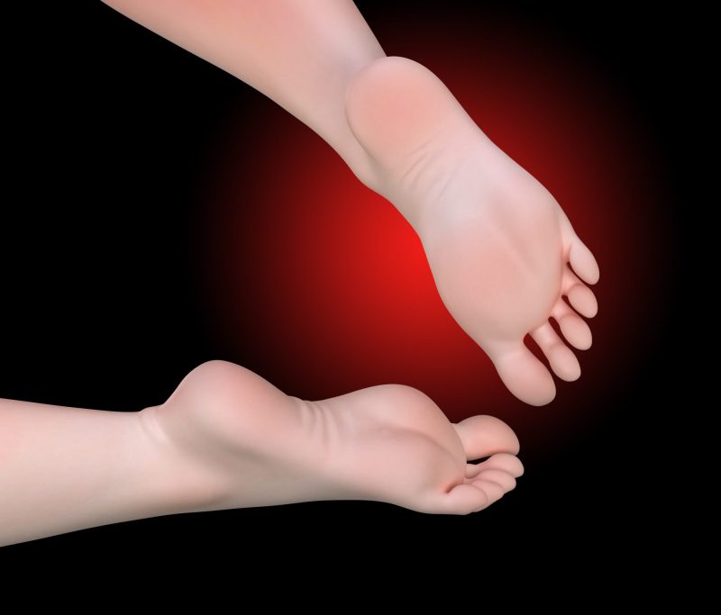 【Pre-order】Arknights Vulpisfoglia & Suzuran GK Resin Statue 1/6 Scale Shining Star Studio