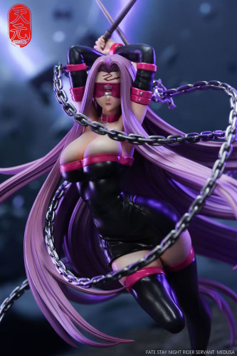 【Pre-order】TY Studio 1/6 Scale Rider Resin Statue