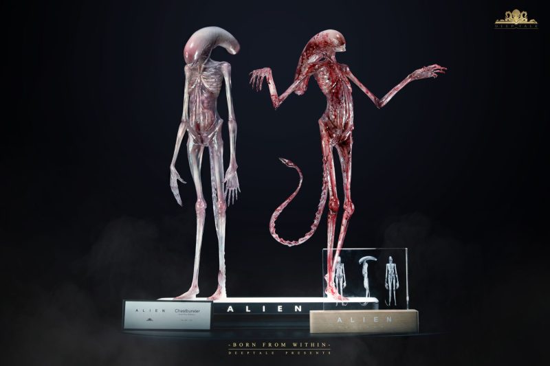 【Pre-order】Deep Tale Studio 1/1 Scale Alien Covenant Chestburster Resin