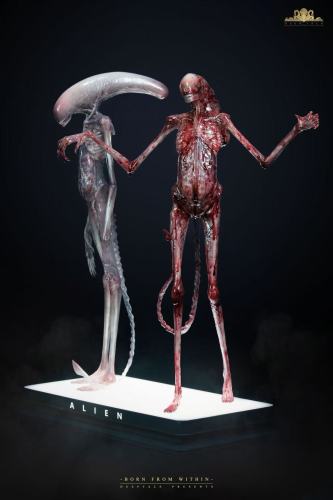 【Pre-order】Deep Tale Studio 1/1 Scale Alien Covenant Chestburster Resin