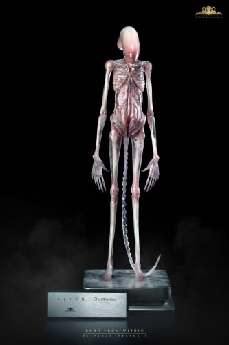 【Pre-order】Deep Tale Studio 1/1 Scale Alien Covenant Chestburster Resin