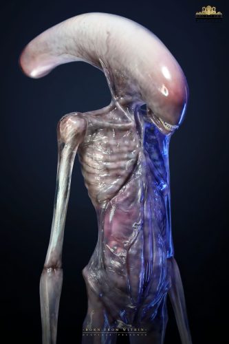 【Pre-order】Deep Tale Studio 1/1 Scale Alien Covenant Chestburster Resin