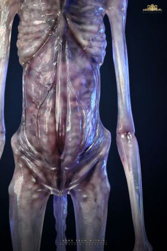 【Pre-order】Deep Tale Studio 1/1 Scale Alien Covenant Chestburster Resin