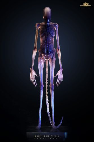 【Pre-order】Deep Tale Studio 1/1 Scale Alien Covenant Chestburster Resin