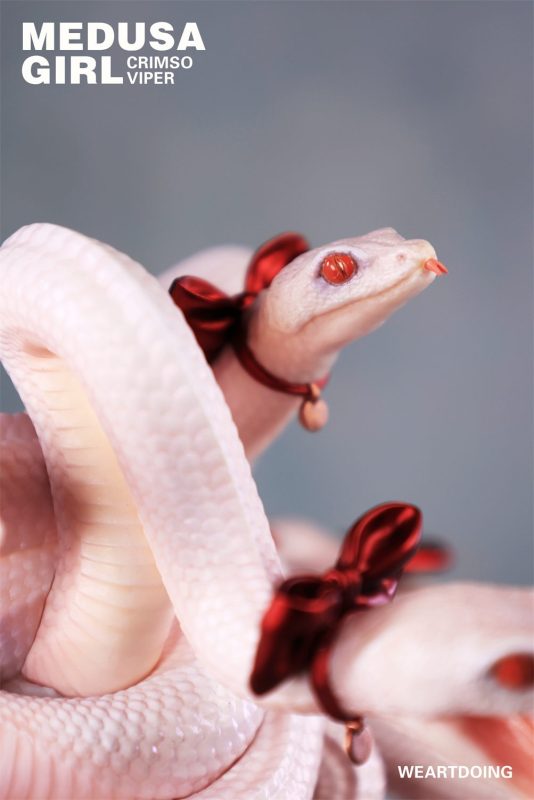 【Pre-order】WeArtDoing Studio Medusa Girl Green Viper & Crimson Viper Resin Statue