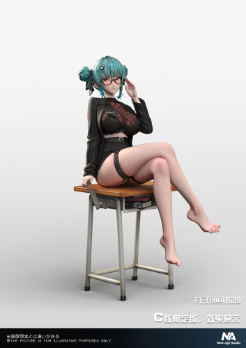【Pre-order】New Age Studio 1/6 Scale Privaty Resin Statue