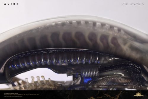 【Pre-order】Deep Tale Studio 1/3 Scale INNER LIFE Series Giger's Alien Resin Statue
