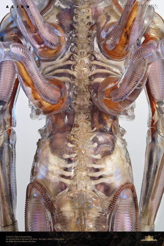 【Pre-order】Deep Tale Studio 1/3 Scale INNER LIFE Series Giger's Alien Resin Statue