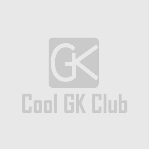 The King of Fighters